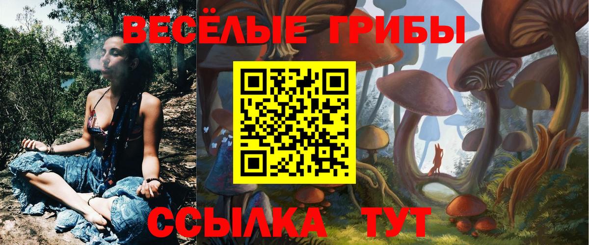 Псилоцибиновые грибы Psilocybine cubensis  Вход с VPN  Псилоцибиновые грибы ЛСД  Родники 