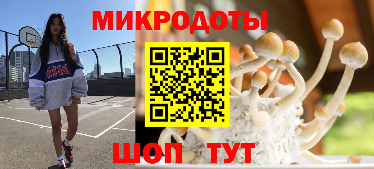 Псилоцибиновые грибы Cubensis Родники
